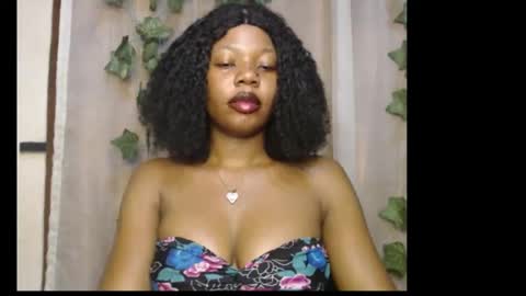 stella online show from 01/31/26, 11:47