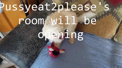 Rick online show from 02/04/25, 10:00