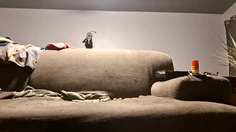 Snapshot of pussylicker517038 chatting on 04/20/26, 10:07 pussylicker517038 online show from 04/20/26, 10:07