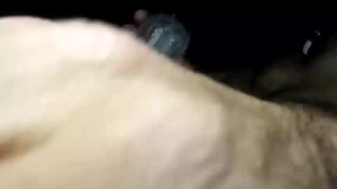 Snapshot of pussyluver420kik909587 chatting on 11/11/25, 06:57 Pussyluver420 online show from 11/11/25, 06:57