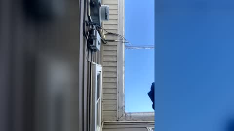 Snapshot of pyrex8 chatting on 02/10/26, 02:32 pyrex8 online show from 02/10/26, 02:32