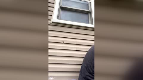 Snapshot of pyrex8 chatting on 04/13/26, 08:58 pyrex8 online show from 04/13/26, 08:58