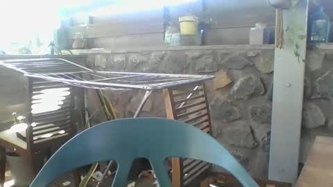 Python online show from 11/29/25, 04:04