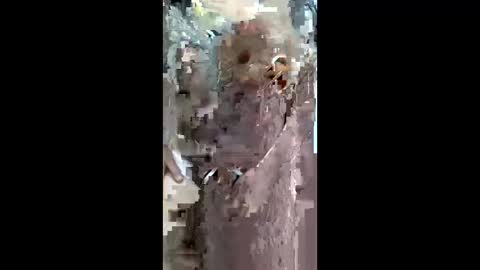 queen_2028 online show from 03/29/26, 08:58