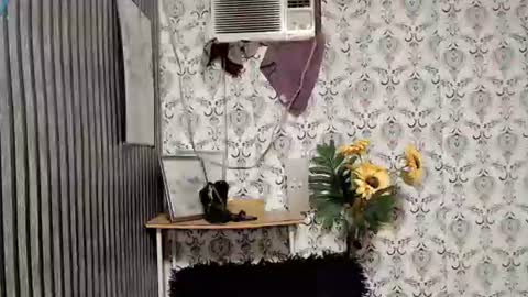 JOY online show from 09/10/25, 11:05