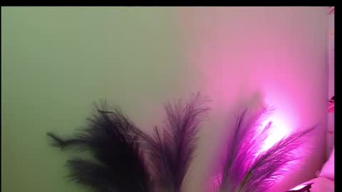 Queen Rosee  online show from 02/25/26, 08:07