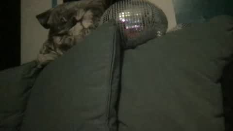 Snapshot of queendelaranch chatting on 09/20/25, 07:04 Queen De La Ranch online show from 09/20/25, 07:04