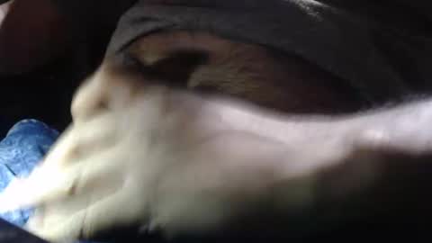 oilypanda online show from 12/16/24, 11:28