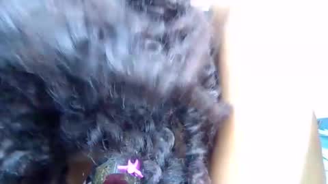 Quincy online show from 03/28/26, 02:11