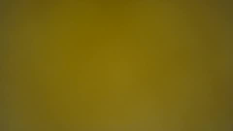 quinnxx online show from 03/11/25, 06:43