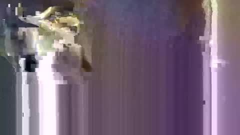 Snapshot of r04233054 chatting on 01/10/26, 08:16 r04233054 online show from 01/10/26, 08:16