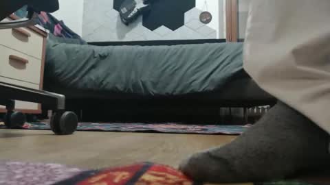 Raccoon68 online show from 12/20/25, 07:32