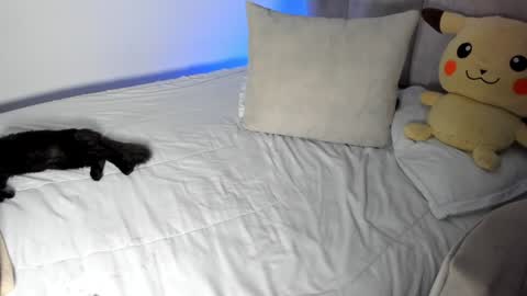 natalia  -  online show from 01/28/25, 09:30