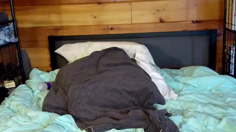 Snapshot of rachelxprice chatting on 03/02/25, 02:00 Rachel Price online show from 03/02/25, 02:00