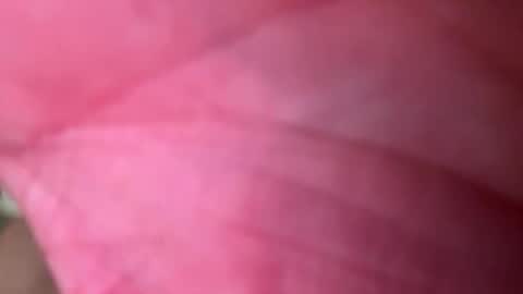 ragerd420 online show from 02/24/26, 11:14