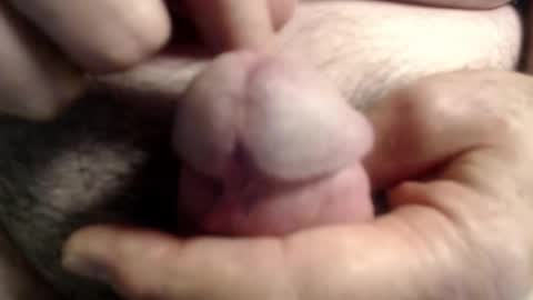 Ray online show from 11/06/25, 01:45