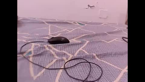 Snapshot of raman5454 chatting on 12/01/25, 04:56 RAMAN online show from 12/01/25, 04:56