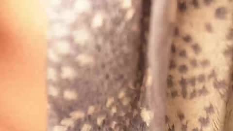 Snapshot of ramichick chatting on 02/17/25, 04:42 Rami online show from 02/17/25, 04:42