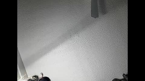 RamonaJ online show from 02/21/25, 04:51