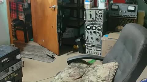 Snapshot of randalltotazz chatting on 04/21/26, 12:56 Randall online show from 04/21/26, 12:56