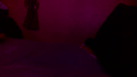 Snapshot of randobad12 chatting on 01/18/25, 10:06 randobad12 online show from 01/18/25, 10:06