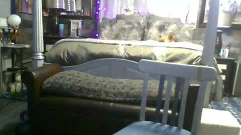 Randy8inbater online show from 05/22/26, 08:10