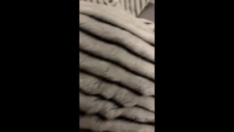 Snapshot of randyjohnson504 chatting on 11/09/25, 05:06 randyjohnson504 online show from 11/09/25, 05:06