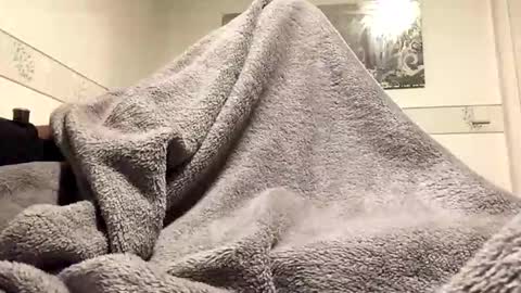 Snapshot of ranj00800 chatting on 11/24/25, 06:51 ranj00800 online show from 11/24/25, 06:51