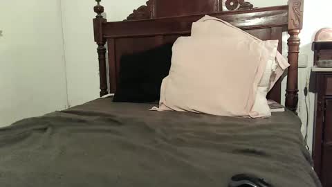 Snapshot of ranthanplan46 chatting on 12/15/24, 07:21 Ran online show from 12/15/24, 07:21