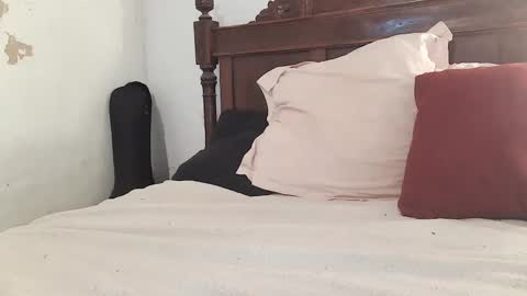 Snapshot of ranthanplan46 chatting on 02/07/25, 12:17 Ran online show from 02/07/25, 12:17