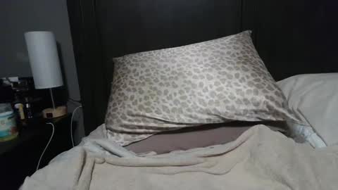 ravchat online show from 01/23/25, 08:02