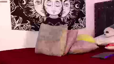 Snapshot of raven06_ chatting on 03/13/26, 11:11 Raven online show from 03/13/26, 11:11