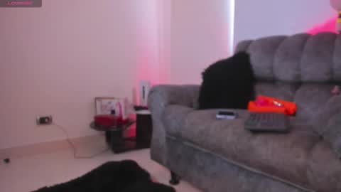   online show from 02/11/26, 12:54