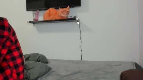 Raveneusbiter online show from 02/10/26, 11:25