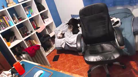 ravingr3d3 online show from 02/02/26, 11:25