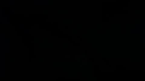 Snapshot of raycatt chatting on 01/25/25, 02:47 Ray  online show from 01/25/25, 02:47