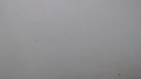 Snapshot of raycatt chatting on 02/01/25, 02:16 Ray  online show from 02/01/25, 02:16