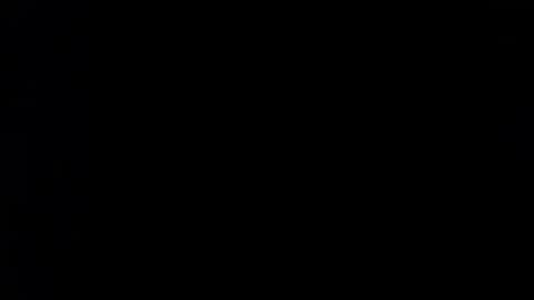 Snapshot of raycatt chatting on 02/01/25, 09:11 Ray  online show from 02/01/25, 09:11