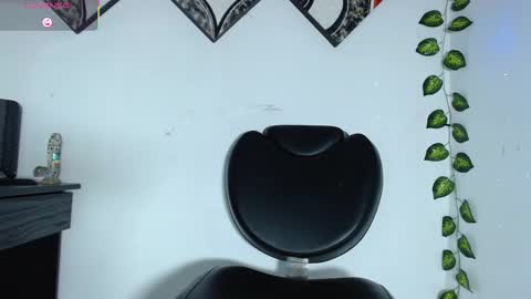 Snapshot of raycatt chatting on 02/12/25, 04:54 Ray  online show from 02/12/25, 04:54