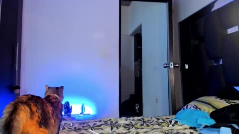 Snapshot of raydevil_ chatting on 09/28/25, 09:42 Rayn online show from 09/28/25, 09:42