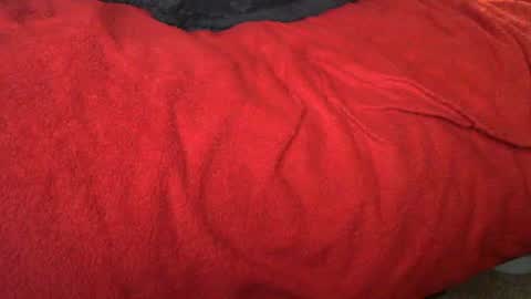 raymondo1964 online show from 11/12/25, 11:47