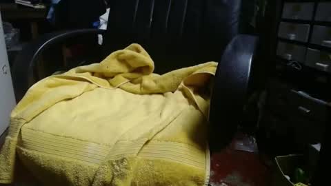 Ray online show from 11/24/25, 12:27