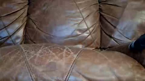 Doyle Wesley Coody III online show from 01/15/26, 07:13