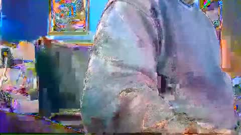 Snapshot of rb69er905364 chatting on 12/28/24, 04:52 rb69er905364 online show from 12/28/24, 04:52