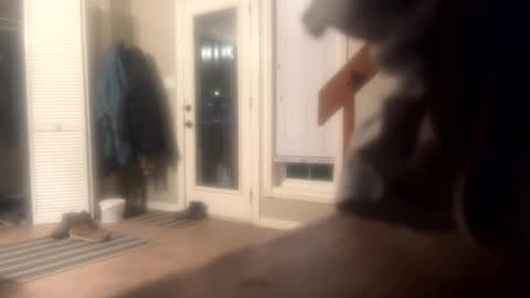 Snapshot of rdyforitall chatting on 12/10/24, 06:22 Mr Nice online show from 12/10/24, 06:22