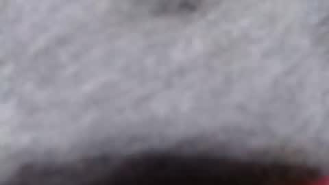 Snapshot of ready2fuk647232 chatting on 11/02/25, 09:44 ready2fuk647232 online show from 11/02/25, 09:44