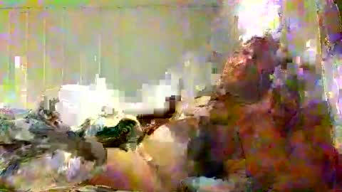 Snapshot of real_viking1 chatting on 02/07/26, 05:49 real_viking1 online show from 02/07/26, 05:49