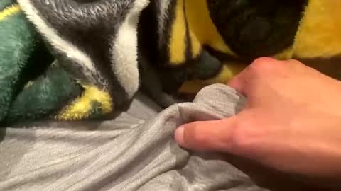 realbigload77 online show from 09/20/25, 02:23