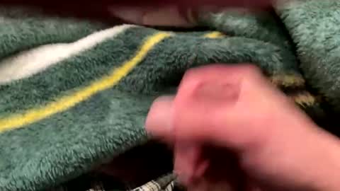 Snapshot of realbigload77 chatting on 02/24/26, 04:32 realbigload77 online show from 02/24/26, 04:32