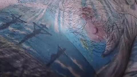 realrubpirate online show from 02/15/26, 09:08